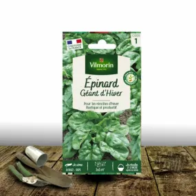 Graines d'épinard géant d'hiver - vilmorin/[-]sachet